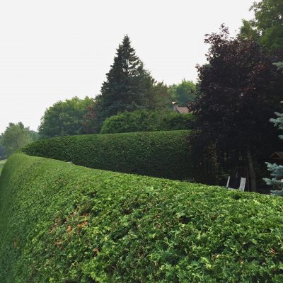 2025 expertaille photo 1