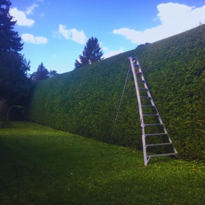 2025 expertaille photo 10