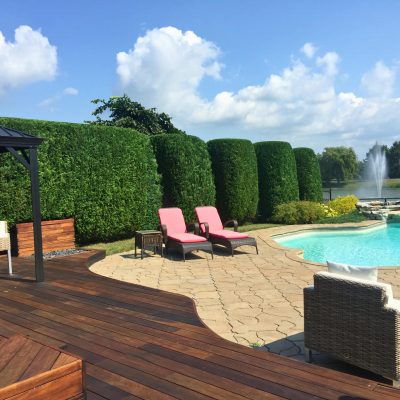 2025 expertaille photo 2