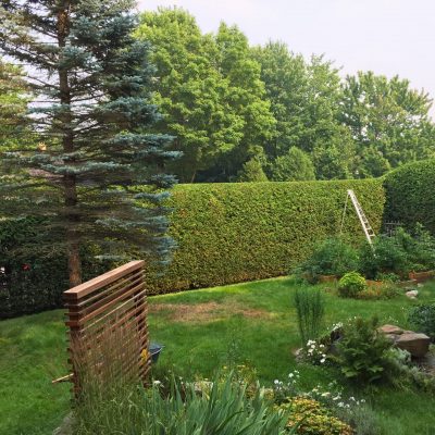 2025 expertaille photo 3