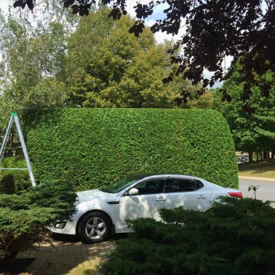 2025 expertaille photo 4