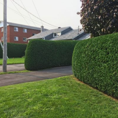 2025 expertaille photo 5